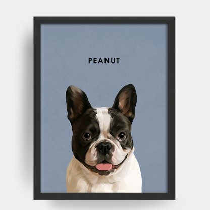 Modern 1 Pet Portrait