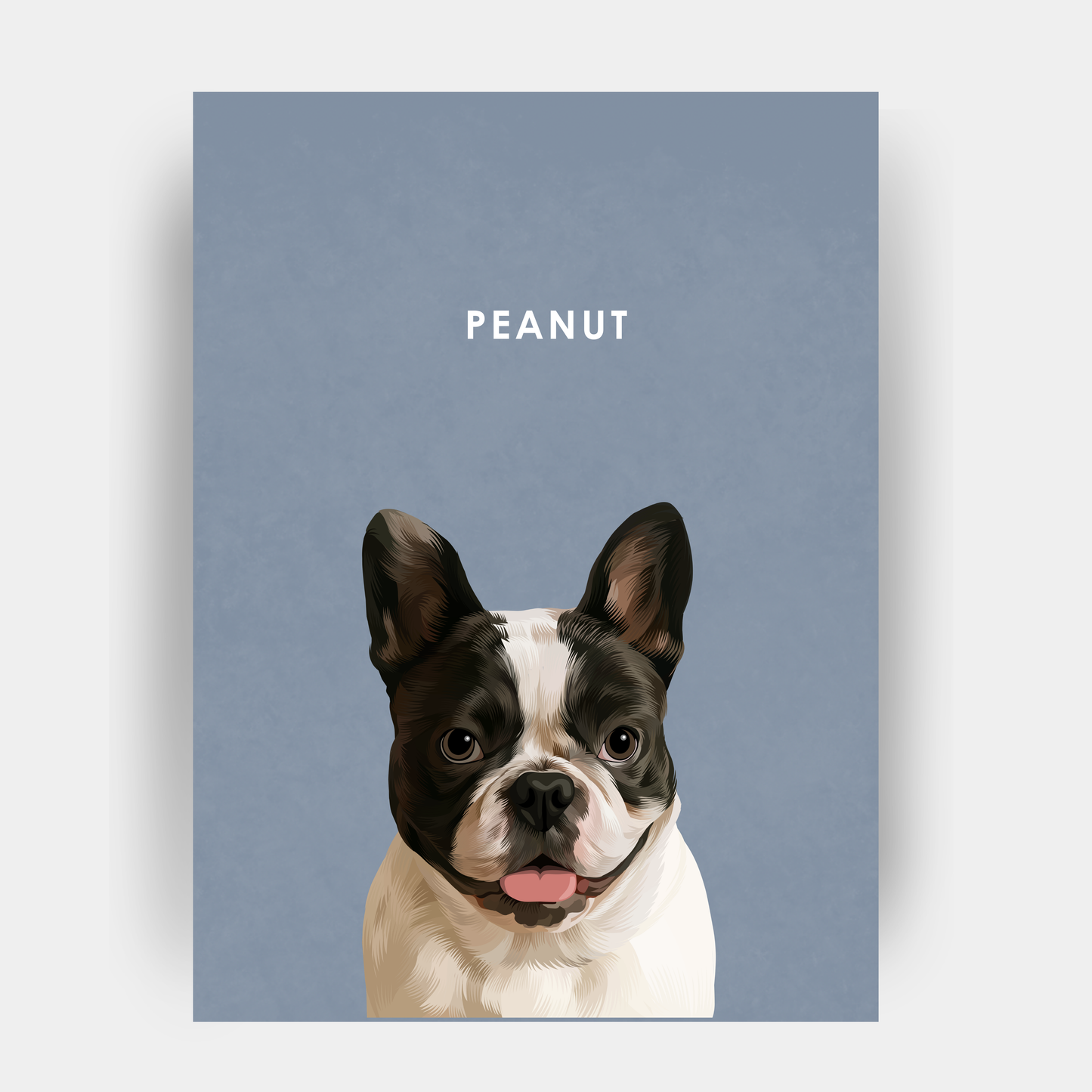 Modern 1 Pet Portrait