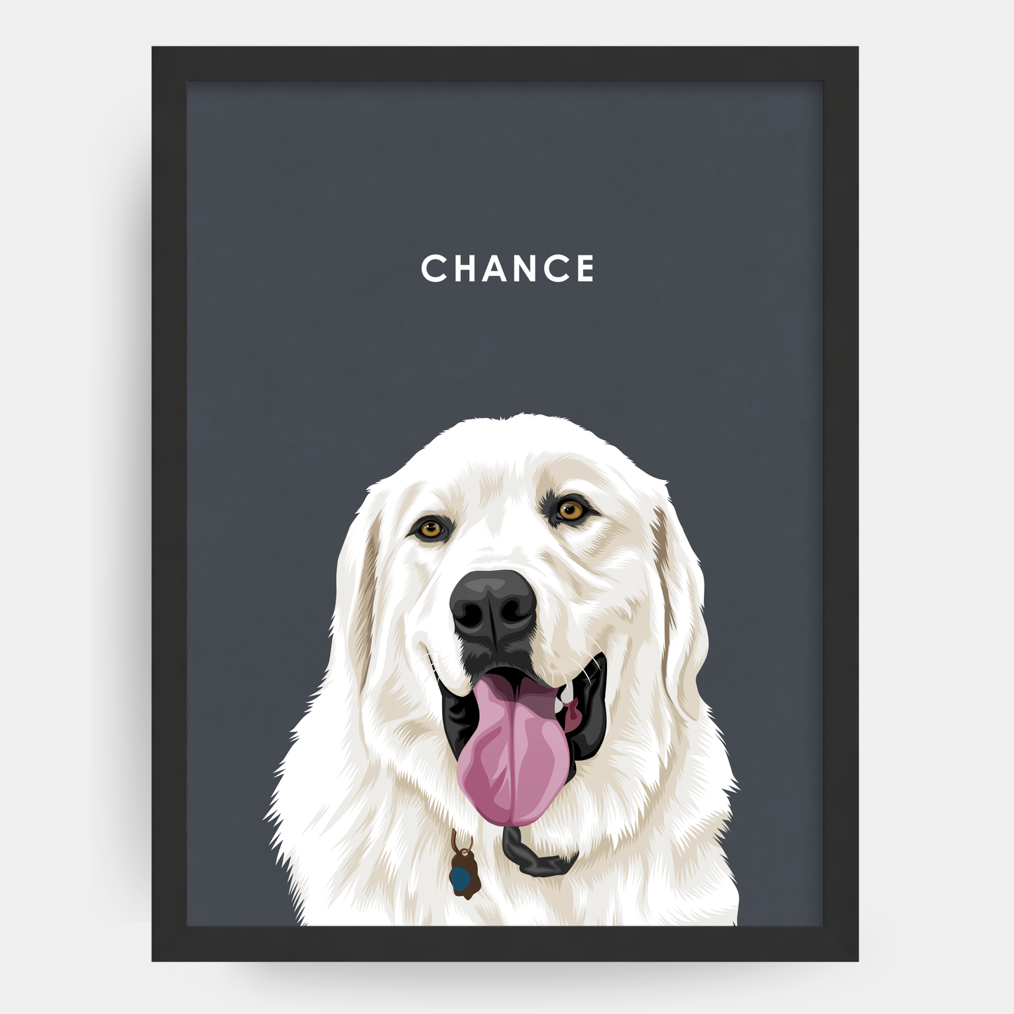 Modern 1 Pet Portrait