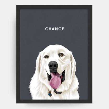 Modern 1 Pet Portrait