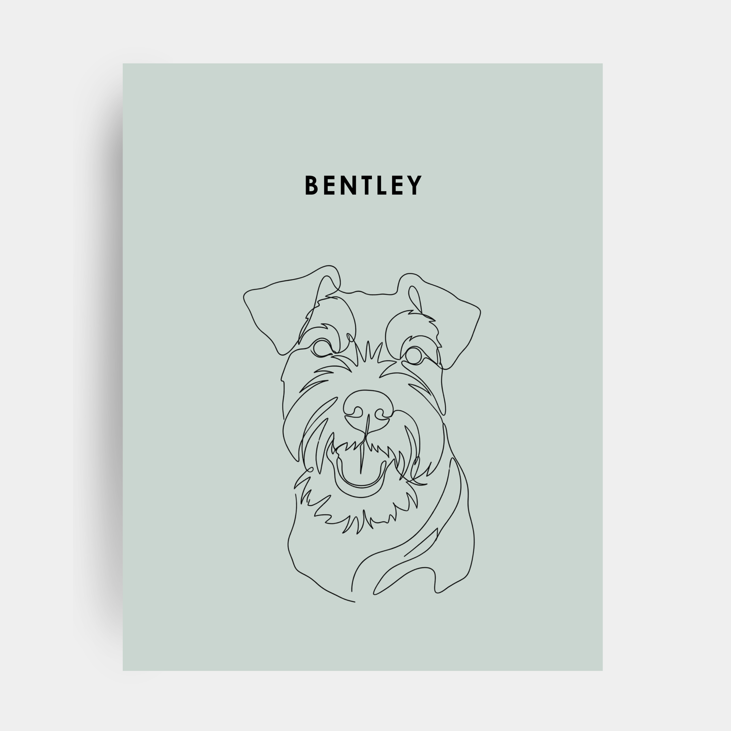 Line Art 1 Pet Portrait