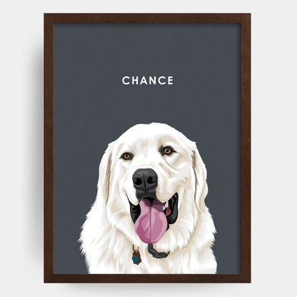 Modern 1 Pet Portrait