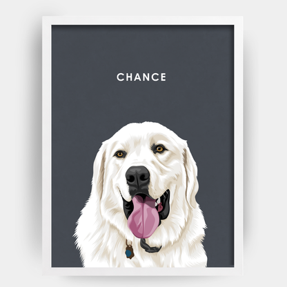 Modern 1 Pet Portrait