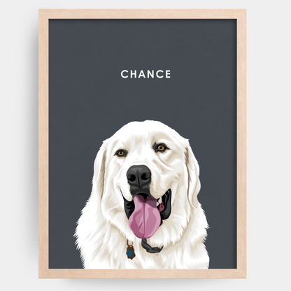 Modern 1 Pet Portrait