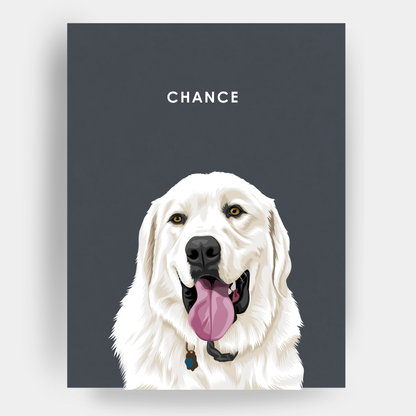 Modern 1 Pet Portrait