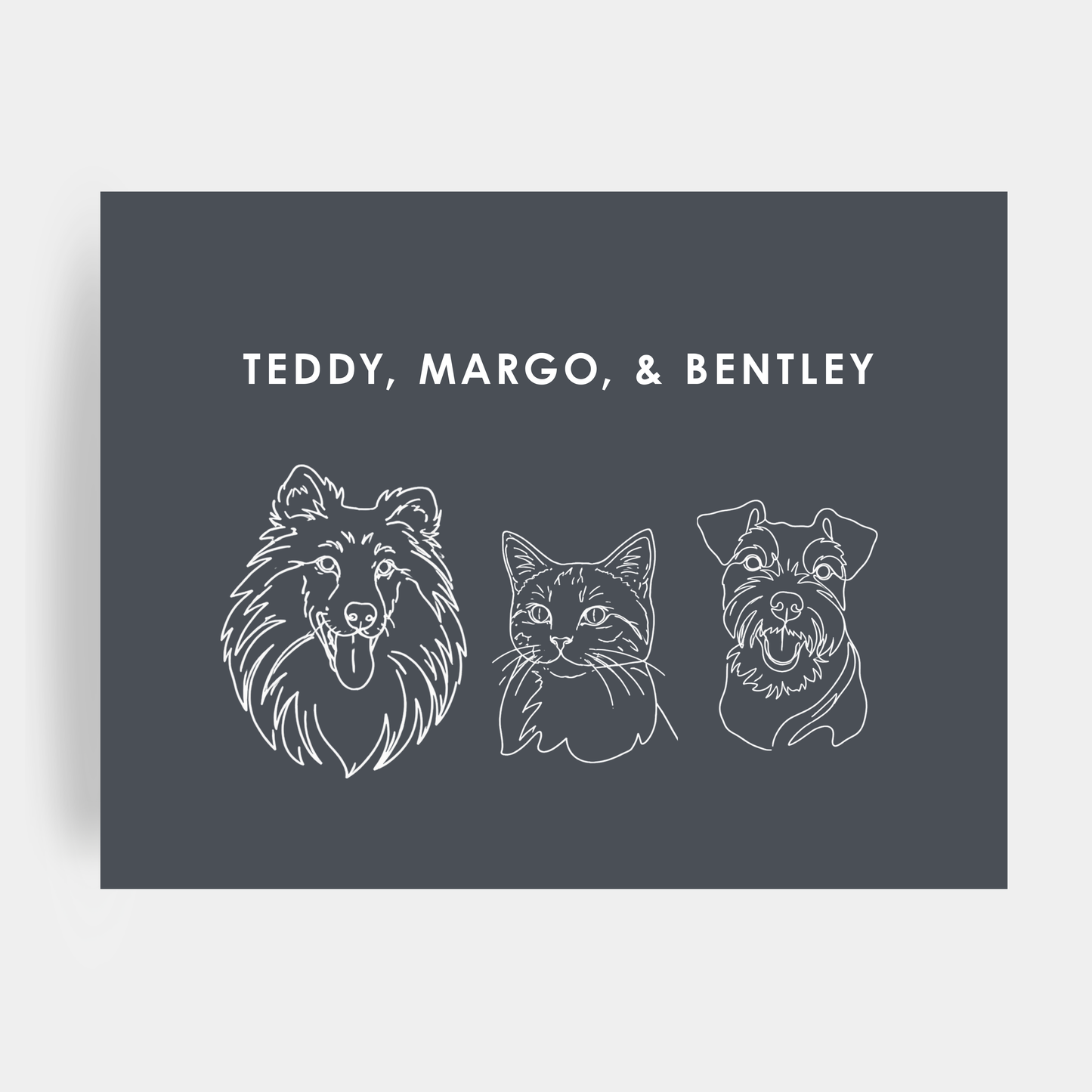 Line Art 3 Pet Portrait