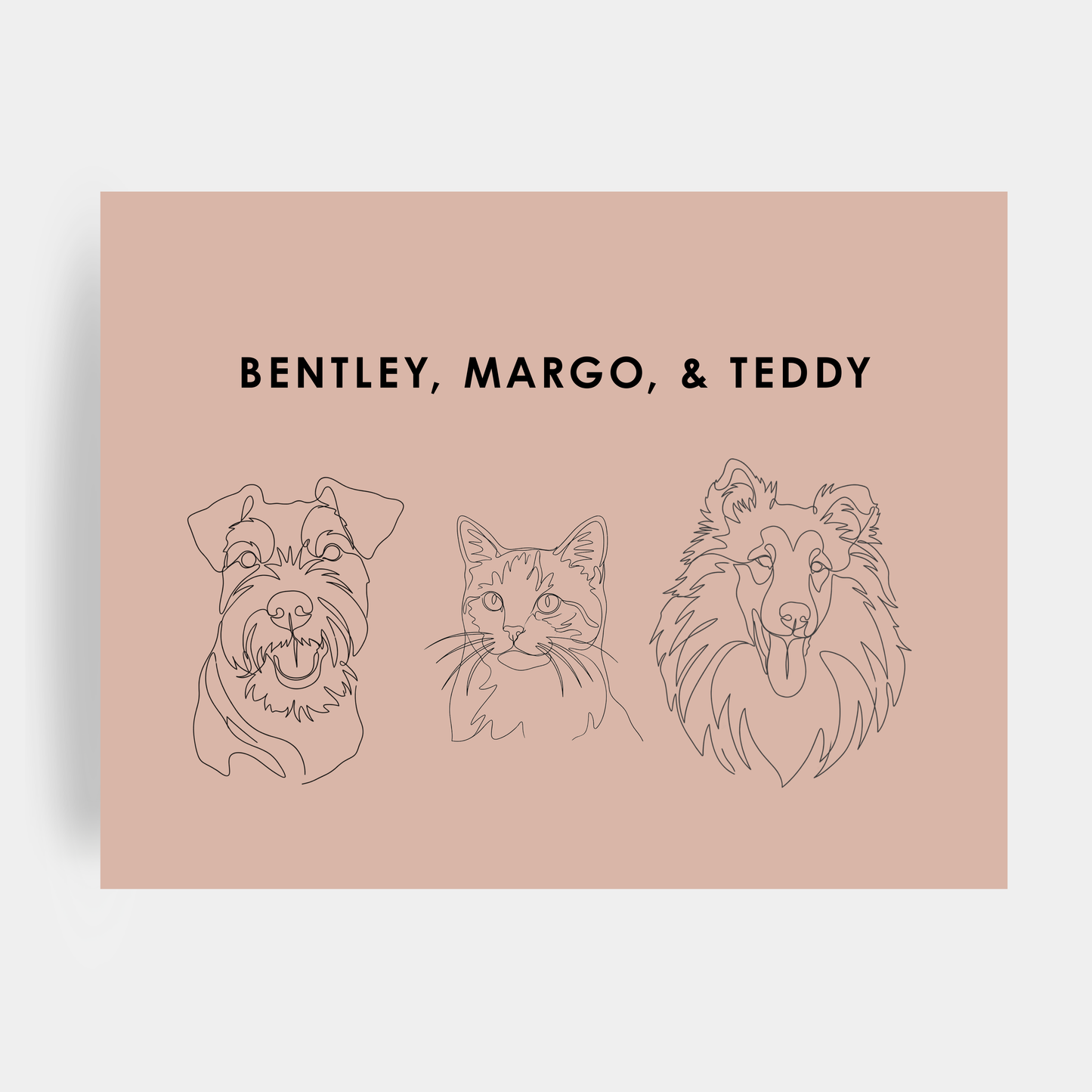 Line Art 3 Pet Portrait