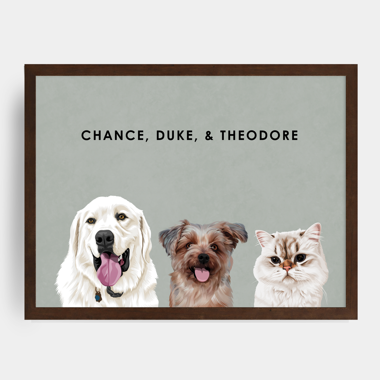 Modern Three Pet Portrait