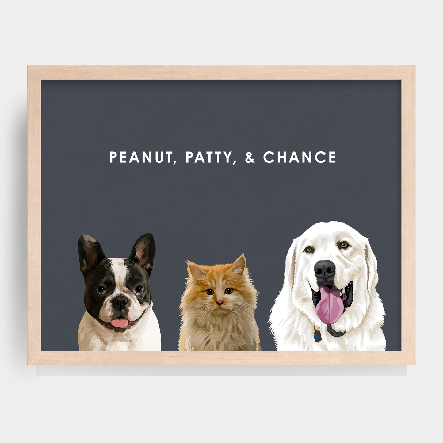 Modern Three Pet Portrait