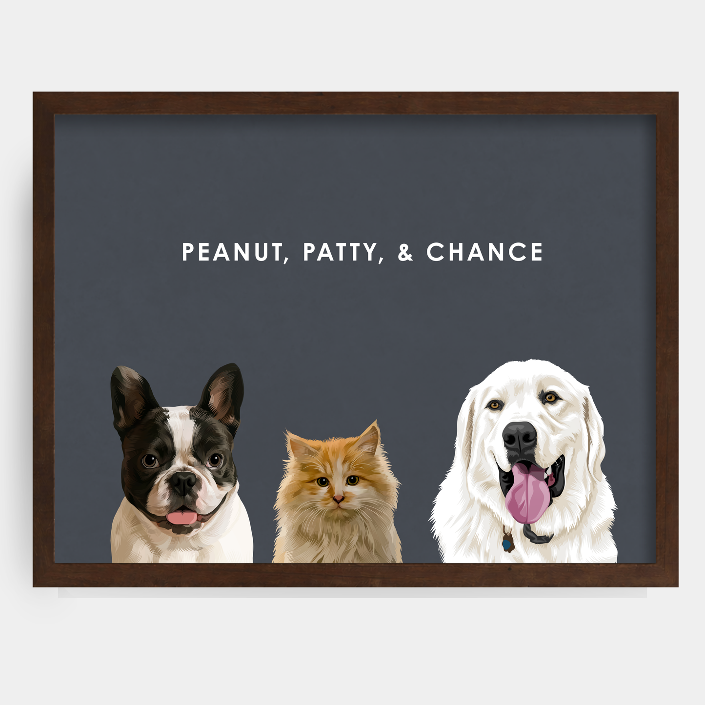 Modern Three Pet Portrait