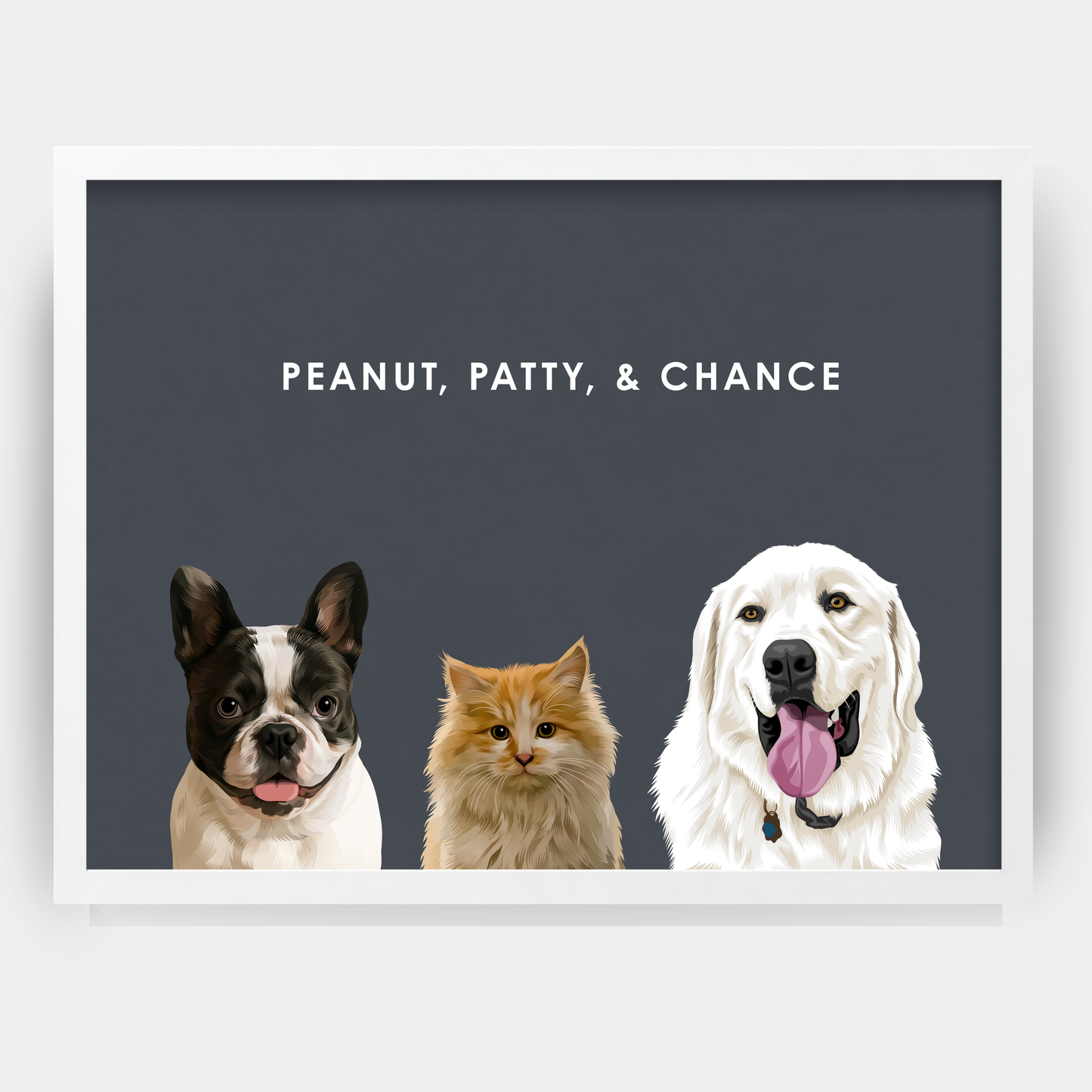 Modern Three Pet Portrait