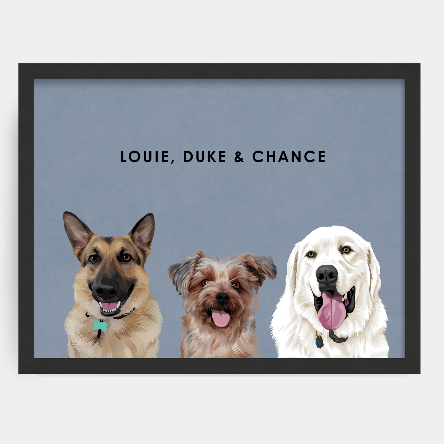 Modern Three Pet Portrait