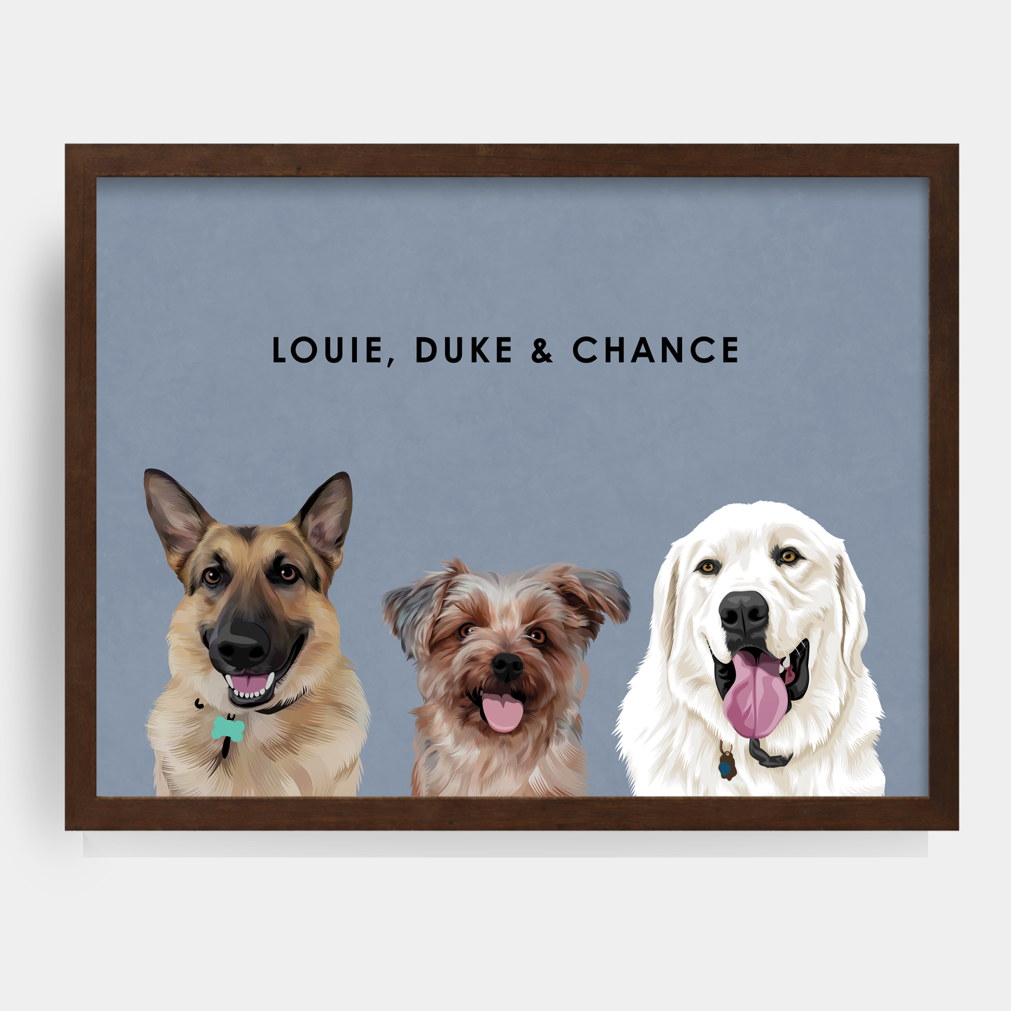 Modern Three Pet Portrait