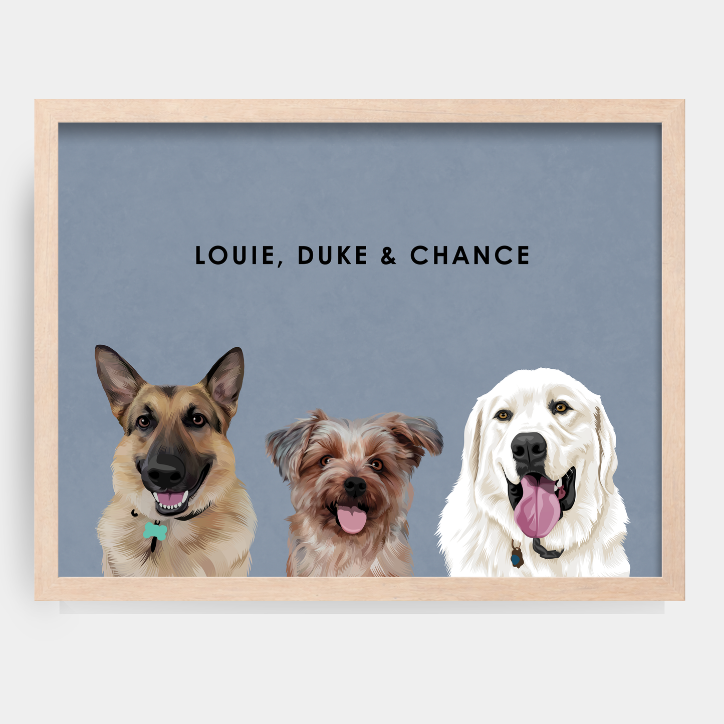 Modern Three Pet Portrait