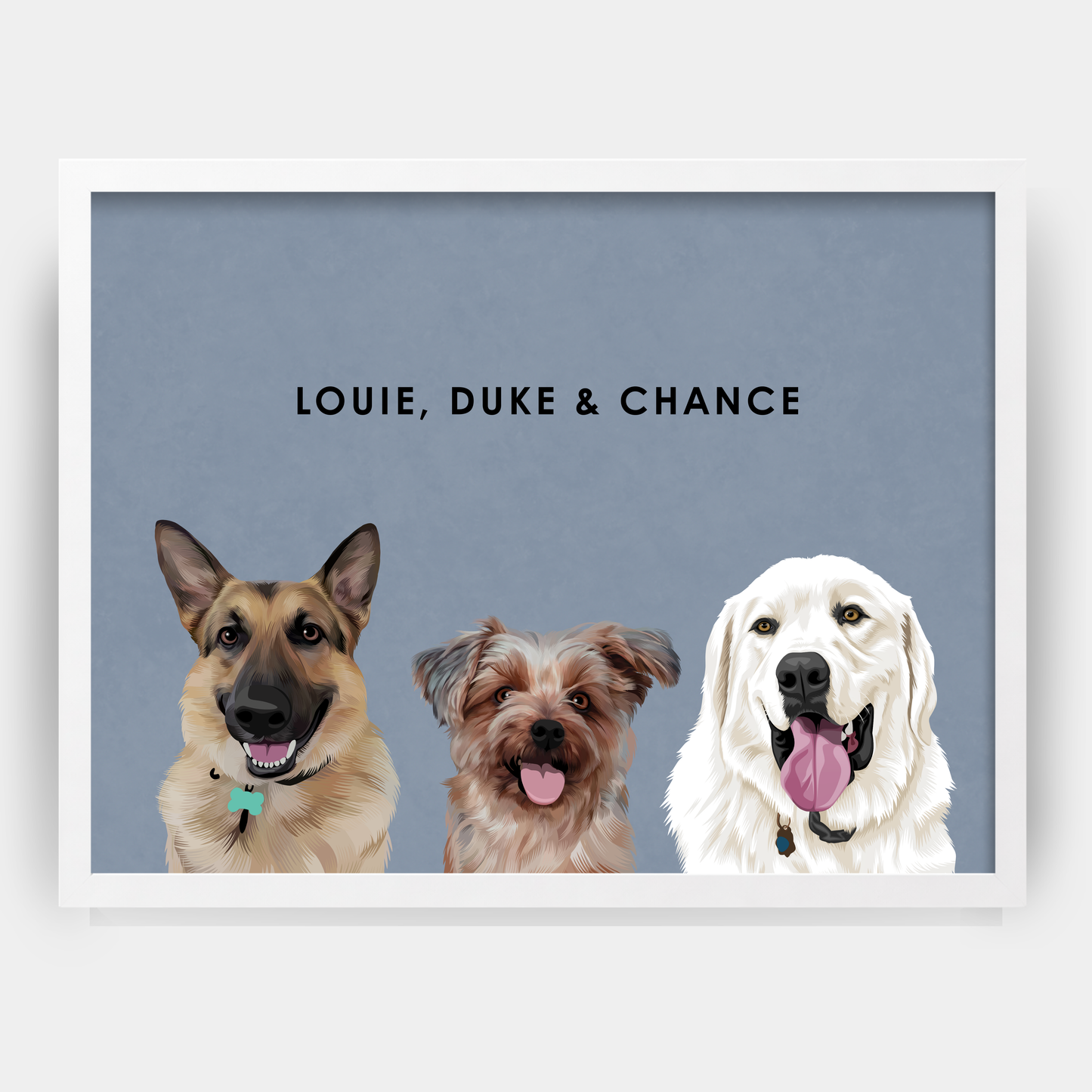 Modern Three Pet Portrait