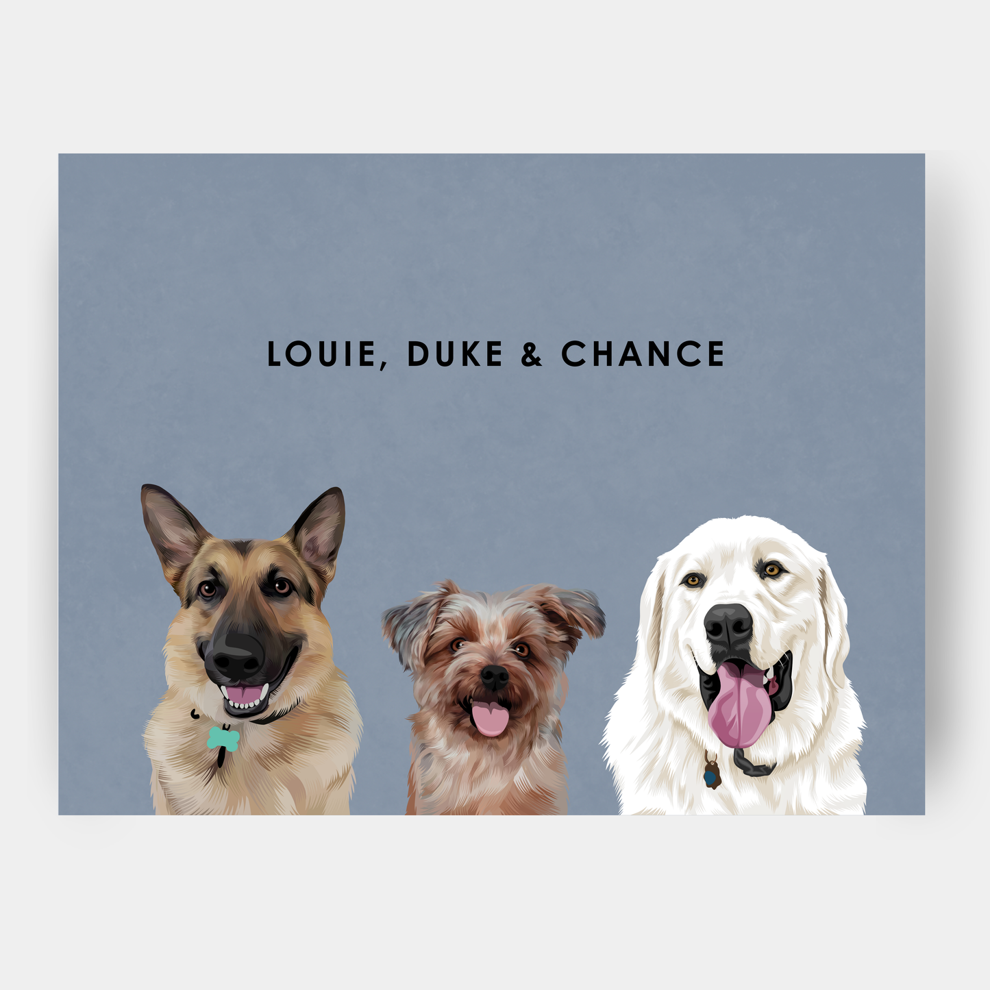 Modern Three Pet Portrait